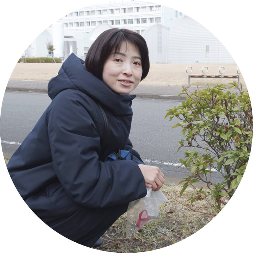 Technical Scientist Mayuko Sato