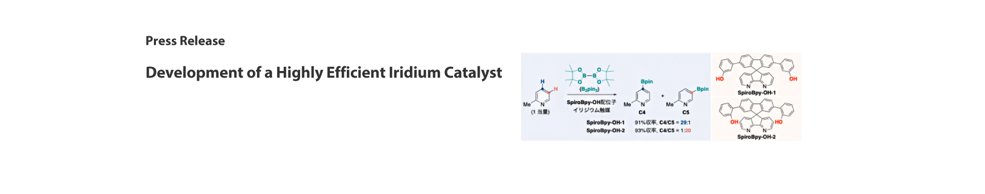 Development of a Highly Efficient Iridium Catalyst