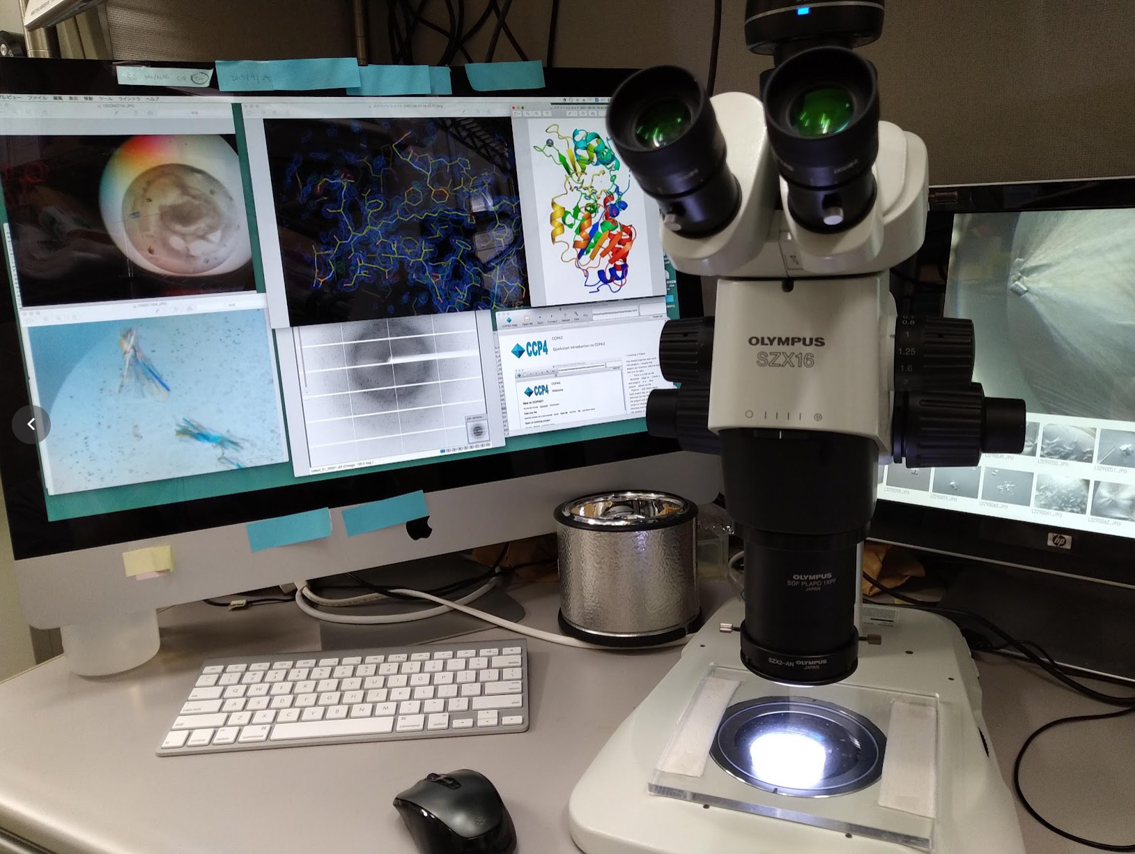 Stereomicroscope and calculator photo