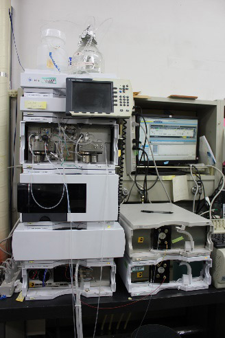 Protein absolute quantification using amino acid analysis photo