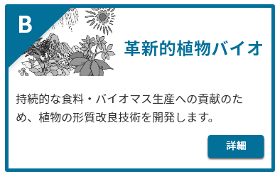 革新的植物バイオ。持続的な食料・バイオマス生産への貢献のため、植物の形質改良技術を開発します。詳細はこちら