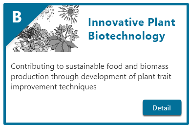 Innovative Plant Biotechnology