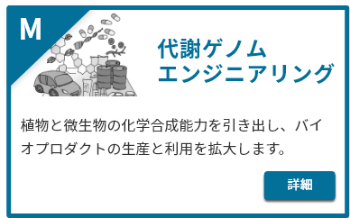 代謝ゲノムエンジニアリング。植物と微生物の化学合成能力を引き出し、バイオプロダクトの生産と利用を拡大します。詳細はこちら