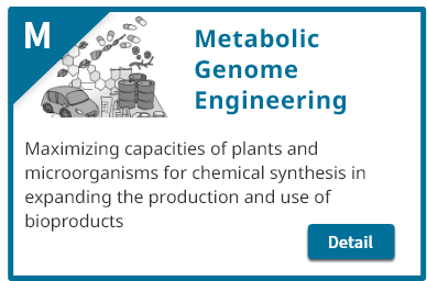 Metabolic Genome Engineering