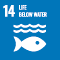 sdgs Icon14