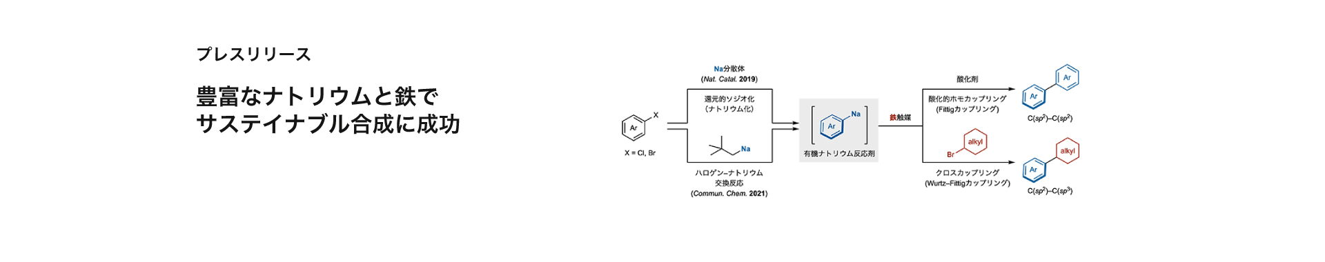 豊富なナトリウムと鉄でサステイナブル合成に成功