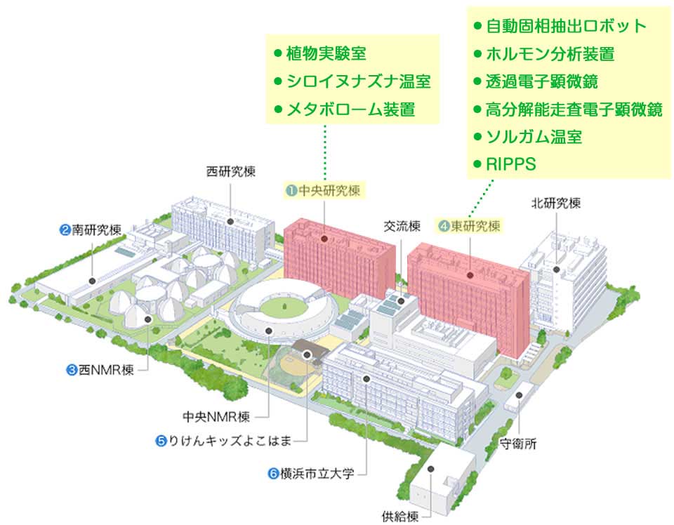 横浜キャンパス構内図